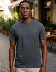CAMISETA MASCULINA ARAMIS BASICA GRAFITE ESCURA ORIGINAL CS.12.0539097