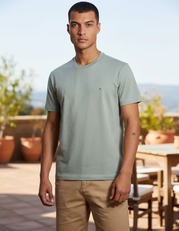 CAMISETA MASCULINA BASICA VERDE SALVIA ARAMIS ORIGINAL CS.12.0537639