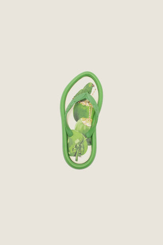 CHINELO CANOA FLORESTA FARM J1005800290017