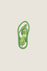 CHINELO CANOA FLORESTA FARM J1005800290017