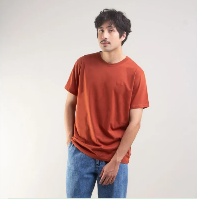 CAMISETA PIMA MASC LEVIS LB0020241