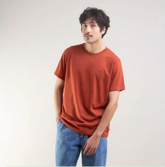 CAMISETA PIMA MASC LEVIS LB0020241